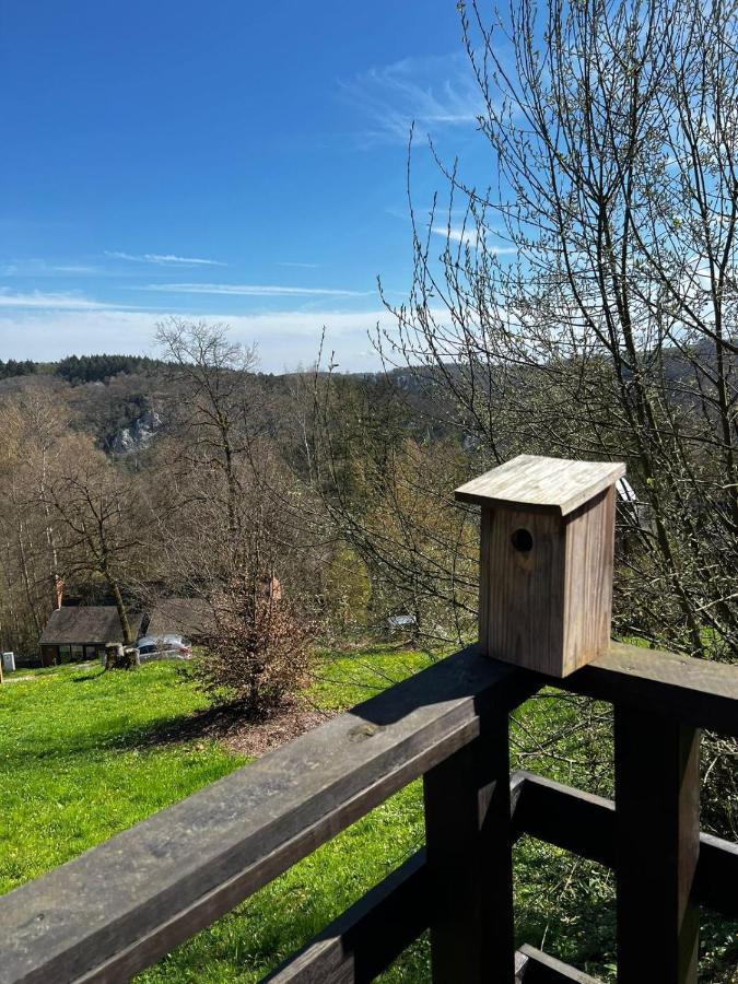 La Cabane D'Helie - Cottage En Pleine Foret - Domaine Du Bonsoy Hastiere-par-dela 외부 사진