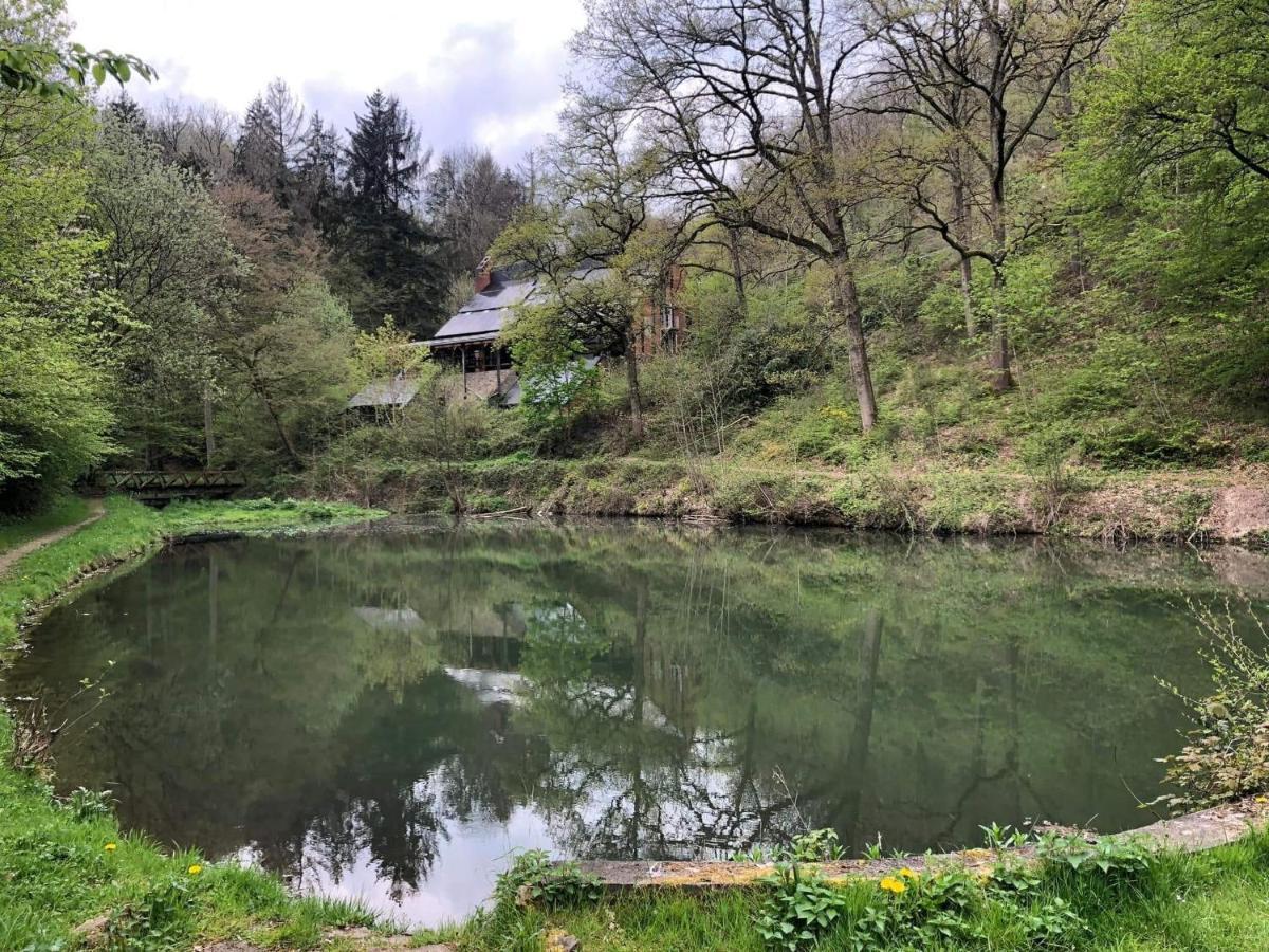 La Cabane D'Helie - Cottage En Pleine Foret - Domaine Du Bonsoy Hastiere-par-dela 외부 사진