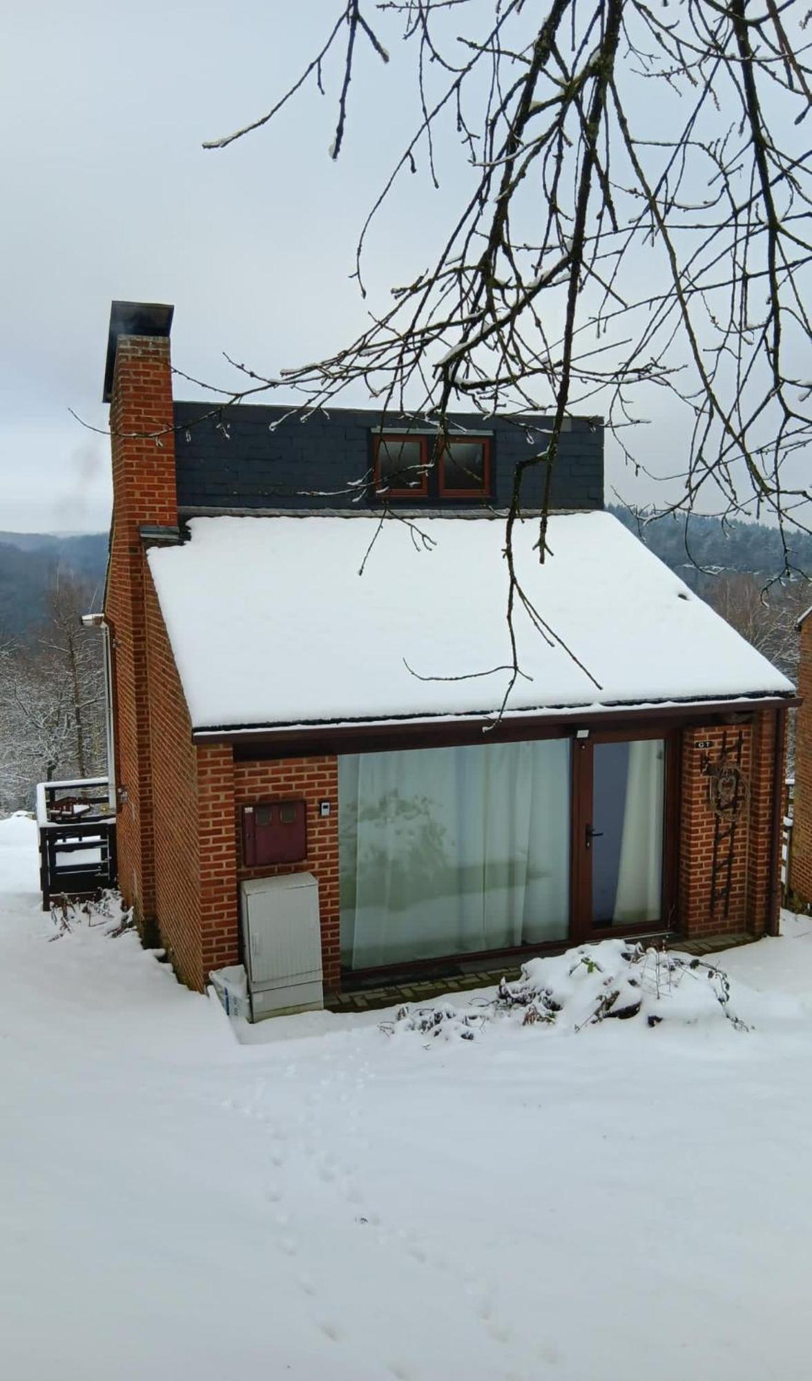 La Cabane D'Helie - Cottage En Pleine Foret - Domaine Du Bonsoy Hastiere-par-dela 외부 사진